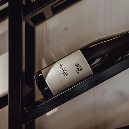 Horská chata 963 Dienten am Hochkönig